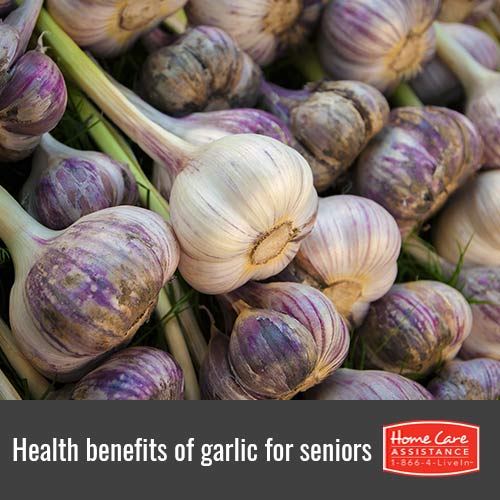 Why Seniors WIll Benefit from Eating Garlic in Dallas, TX